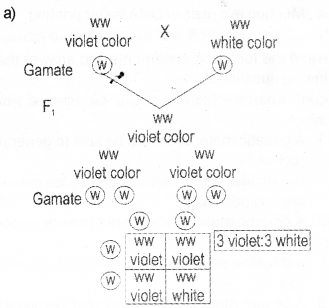 Plus Two Zoology Model Question Paper 1, 1