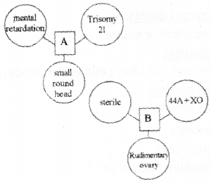 Plus Two Zoology Model Question Paper 1, 2