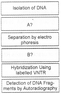 Plus Two Zoology Model Question Paper 1, 3