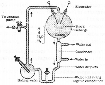 Plus Two Zoology Model Question Paper 1, 5