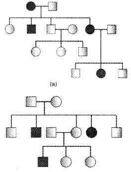 Plus Two Zoology Notes Chapter 3 Principles of Inheritance and Variation 13