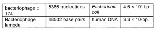 Plus Two Zoology Notes Chapter 4 Molecular Basis of Inheritance 1