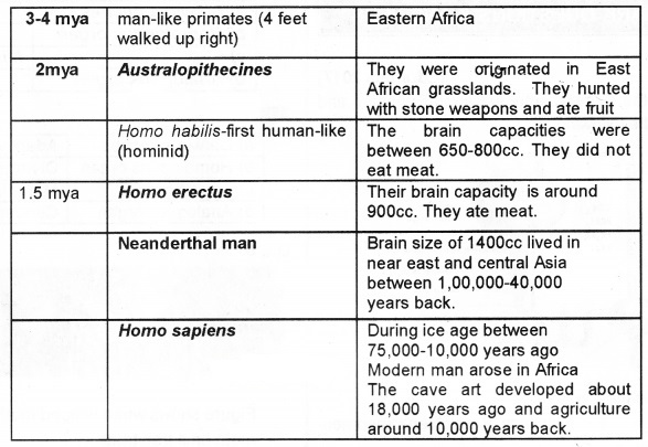 Plus Two Zoology Notes Chapter 5 Evolution 8