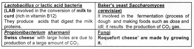 Plus Two Zoology Notes Chapter 7 Microbes in Human Welfare 1