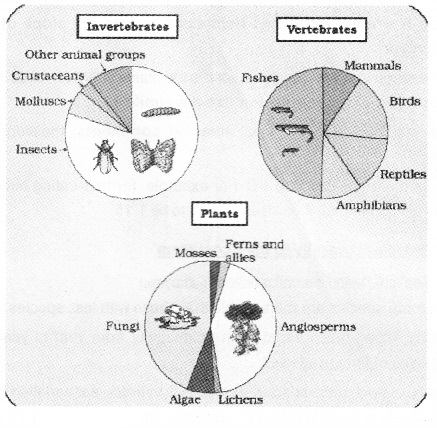 Plus Two Zoology Notes Chapter 8 Biodiversity and Conservation 1