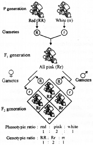 Plus Two Zoology Previous Year Question Paper March 2018, 1