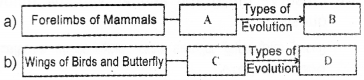 Plus Two Zoology Previous Year Question Paper March 2018, 2