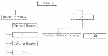 Plus Two Zoology Previous Year Question Paper March 2019, 5