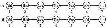 Plus Two Zoology Previous Year Question Paper March 2019, 6