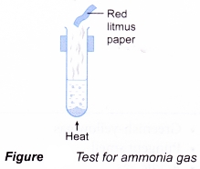 Qualitative Analysis of Salts 1