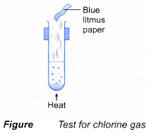 Qualitative Analysis of Salts 5