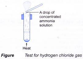 Qualitative Analysis of Salts 7