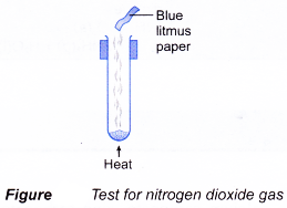 Qualitative Analysis of Salts 8