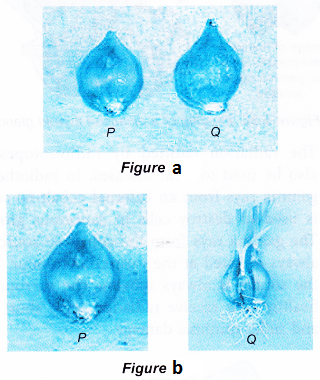 Radioactive Isotope 1