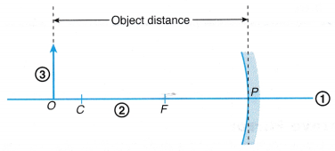 Ray Diagram for Concave and Convex Mirrors 2