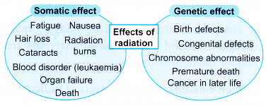 Realising the Importance of Proper Management of Radioactive Substances 5