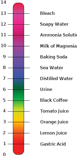 Importance of ph in everyday life chemistry