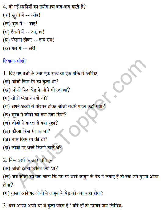 Sarangi Class 2 Hindi Worksheet Chapter 11 बैंगनी जोजो 2