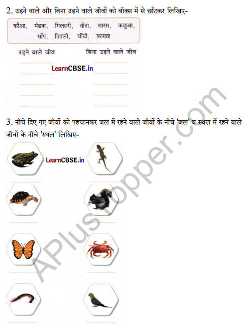 Sarangi Class 2 Hindi Worksheet Chapter 13 तालाब 2