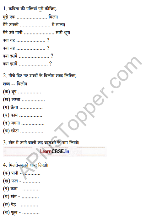 Sarangi Class 2 Hindi Worksheet Chapter 14 बीज 1