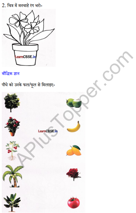 Sarangi Class 2 Hindi Worksheet Chapter 14 बीज 3