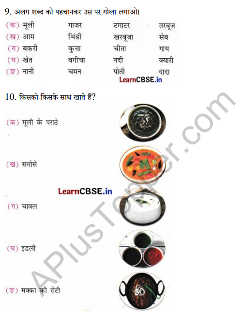 Sarangi Class 2 Hindi Worksheet Chapter 16 मूली 3