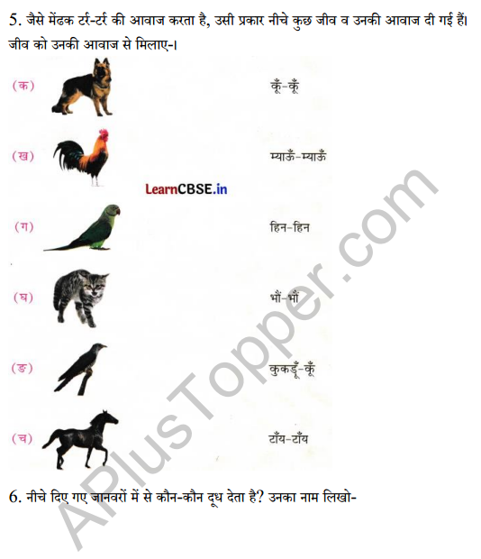 Sarangi Class 2 Hindi Worksheet Chapter 17 बरसात और मेंढक 3