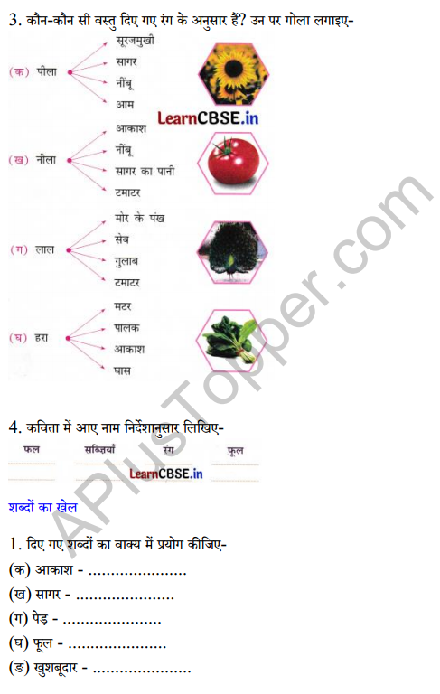 Sarangi Class 2 Hindi Worksheet Chapter 9 दुनिया रंग-बिरंगी 2