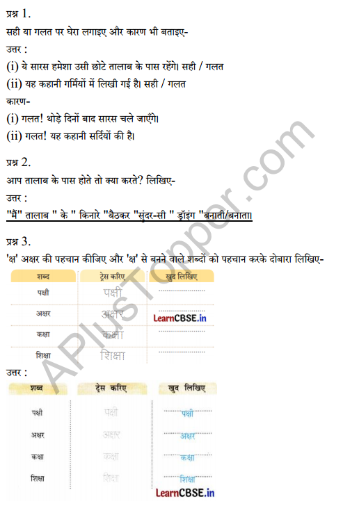 Sarangi Hindi Book Class 2 Solutions Chapter 13 तालाब2