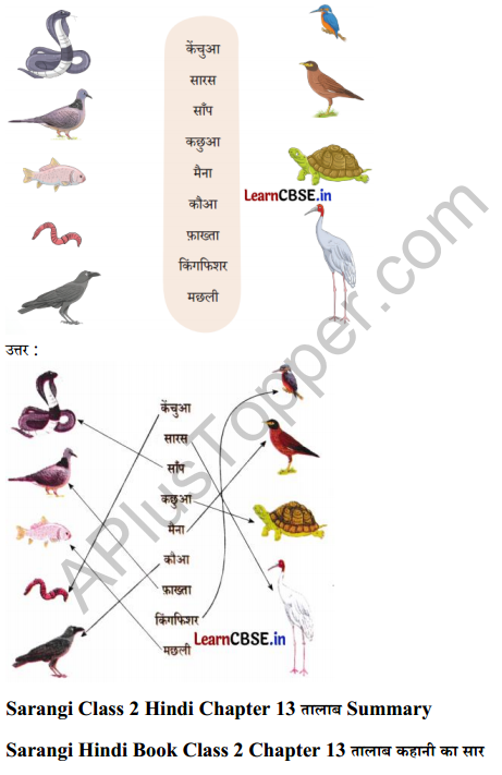 Sarangi Hindi Book Class 2 Solutions Chapter 13 तालाब4