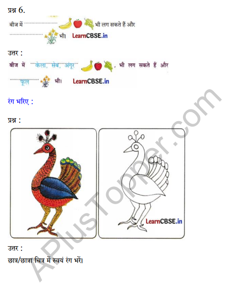 Sarangi Hindi Book Class 2 Solutions Chapter 14 बीज 2