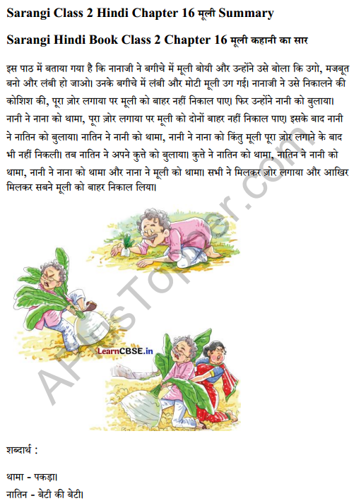 Sarangi Hindi Book Class 2 Solutions Chapter 16 मूली 3