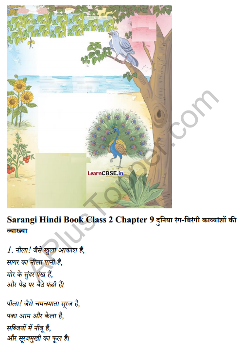 Sarangi Hindi Book Class 2 Solutions Chapter 9 दुनिया रंग-बिरंगी 3