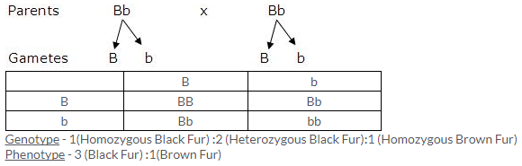 Selina Concise Biology Class 10 ICSE Solutions Genetics Some Basic Fundamentals image - 2