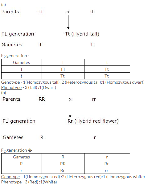 Selina Concise Biology Class 10 ICSE Solutions Genetics Some Basic Fundamentals image - 3