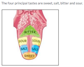 Selina Concise Biology Class 10 ICSE Solutions The Excretory System (Elimination of Body Wastes) image - 2