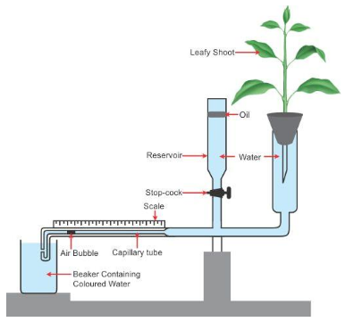 Selina Concise Biology Class 10 ICSE Solutions Transpiration image - 2