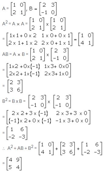 Selina Concise Mathematics Class 10 ICSE Solutions Matrices image - 138