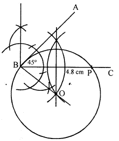 Selina Concise Mathematics Class 10 ICSE Solutions Revision Paper 1 image - 39