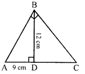 Selina Concise Mathematics Class 10 ICSE Solutions Revision Paper 2 image - 42