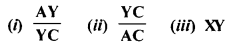 Selina Concise Mathematics Class 10 ICSE Solutions Similarity image - 102