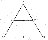 Selina Concise Mathematics Class 10 ICSE Solutions Similarity image - 117