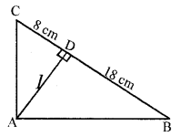 Selina Concise Mathematics Class 10 ICSE Solutions Similarity image - 131