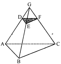 Selina Concise Mathematics Class 10 ICSE Solutions Similarity image - 136