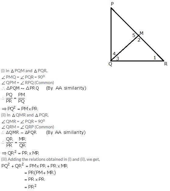 Selina Concise Mathematics Class 10 ICSE Solutions Similarity image - 29