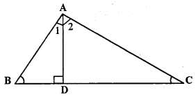 Selina Concise Mathematics Class 10 ICSE Solutions Similarity image - 35