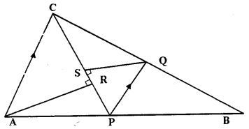 Selina Concise Mathematics Class 10 ICSE Solutions Similarity image - 42