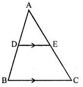 Selina Concise Mathematics Class 10 ICSE Solutions Similarity image - 48