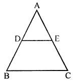 Selina Concise Mathematics Class 10 ICSE Solutions Similarity image - 61