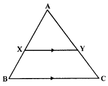 Selina Concise Mathematics Class 10 ICSE Solutions Similarity image - 75